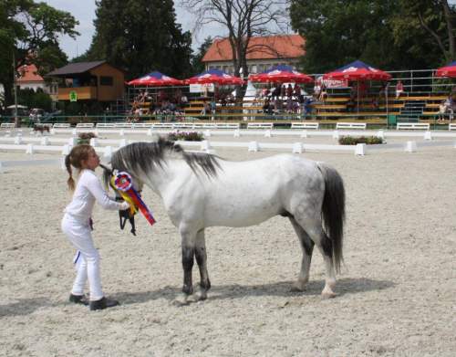 2820dollomstormchild